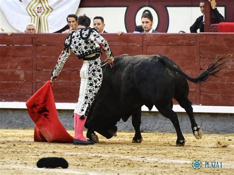 el toro tv directo hoy|toros directo hoy.